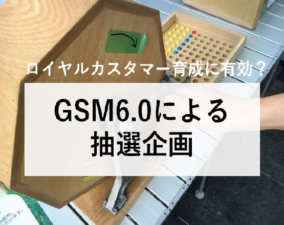 抽選企画は、ロイヤルカスタマー育成に有効？　～GSM6.0による抽選企画